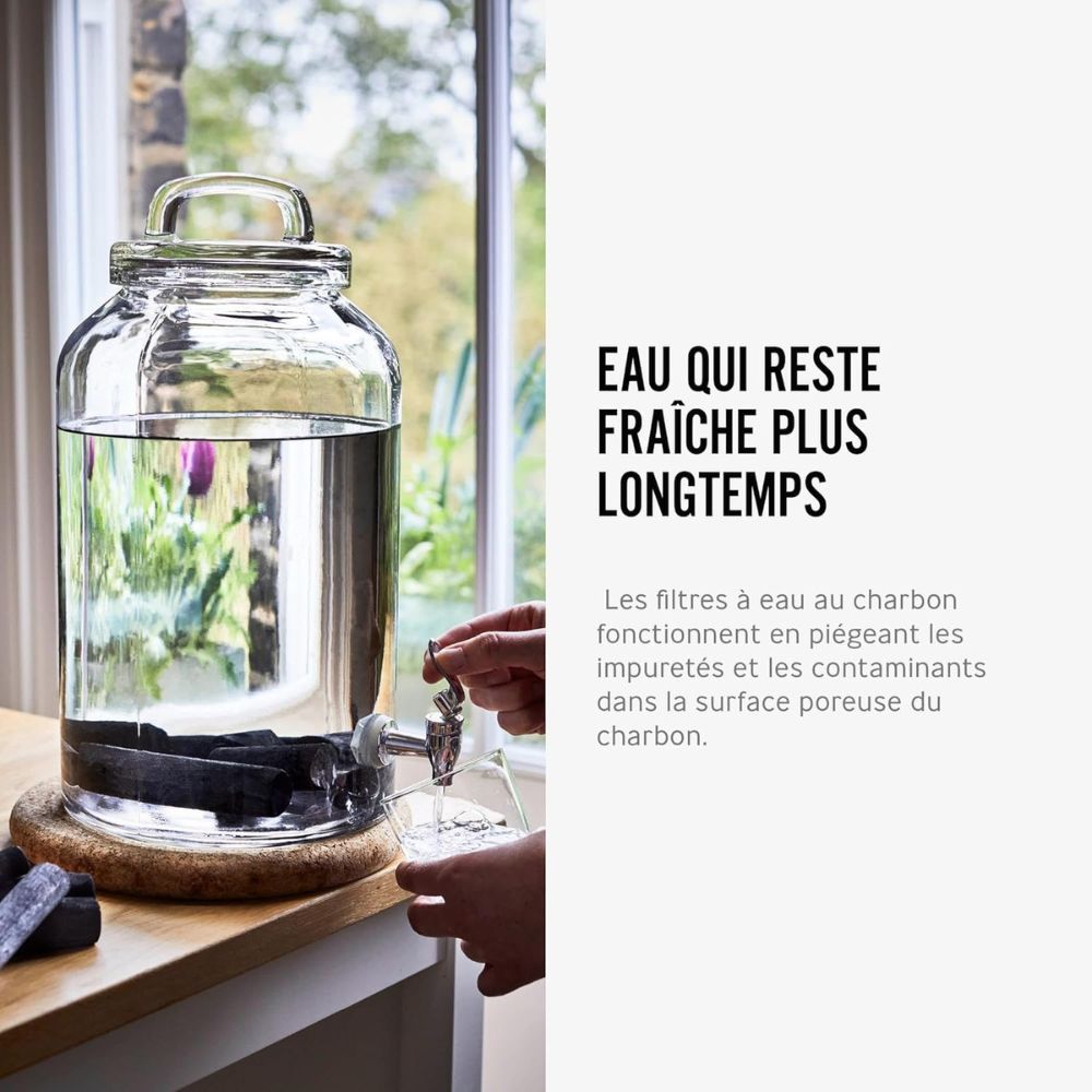 Charbon Binchotan Mizora - pour 1.5L d'Eau Filtrée